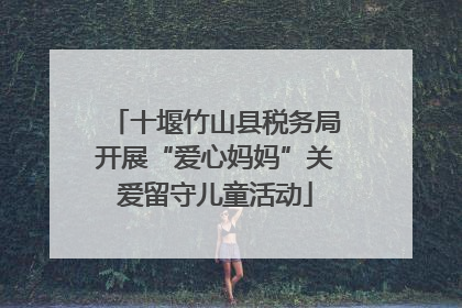 十堰竹山县税务局开展“爱心妈妈”关爱留守儿童活动