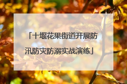 十堰花果街道开展防汛防灾防溺实战演练