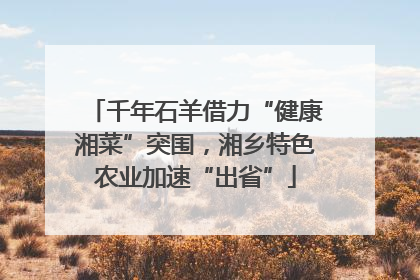 千年石羊借力“健康湘菜”突围，湘乡特色农业加速“出省”