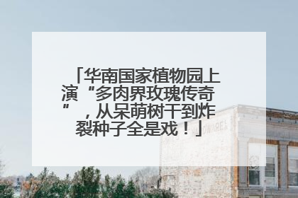 华南国家植物园上演“多肉界玫瑰传奇”，从呆萌树干到炸裂种子全是戏！
