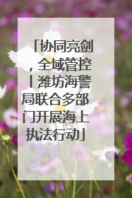 协同亮剑，全域管控丨潍坊海警局联合多部门开展海上执法行动