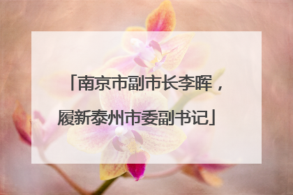 南京市副市长李晖，履新泰州市委副书记