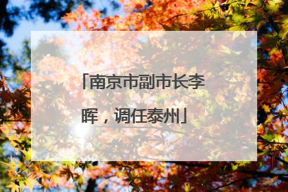 南京市副市长李晖，调任泰州