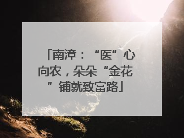 南漳：“医”心向农，朵朵“金花”铺就致富路