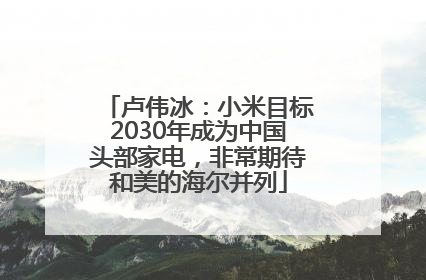 卢伟冰：小米目标2030年成为中国头部家电，非常期待和美的海尔并列