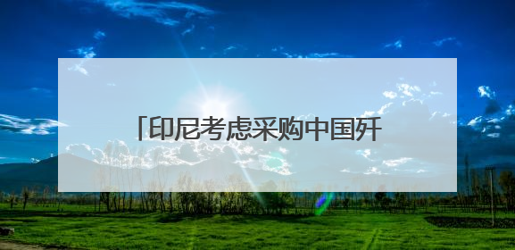 印尼考虑采购中国歼-10战斗机 正评估性能与成本优势