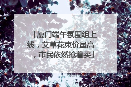 厦门端午氛围组上线，艾草花束价虽高，市民依然抢着买