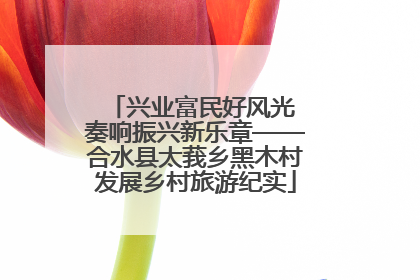 兴业富民好风光 奏响振兴新乐章——合水县太莪乡黑木村发展乡村旅游纪实