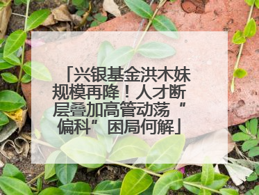 兴银基金洪木妹规模再降！人才断层叠加高管动荡“偏科”困局何解