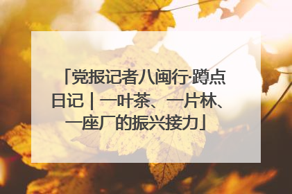党报记者八闽行·蹲点日记｜一叶茶、一片林、一座厂的振兴接力