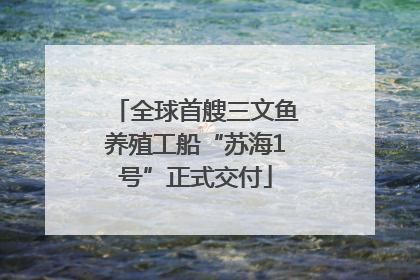 全球首艘三文鱼养殖工船“苏海1号”正式交付