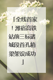 全线首家！潍宿高铁站前三标诸城段首孔箱梁架设成功