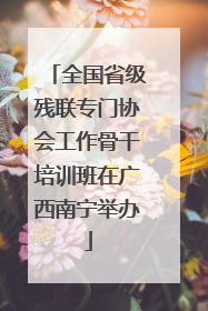全国省级残联专门协会工作骨干培训班在广西南宁举办