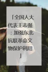 全国人大代表王志强：加强东北抗联革命文物保护利用