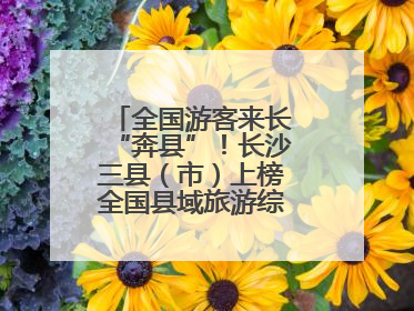 全国游客来长“奔县”！长沙三县（市）上榜全国县域旅游综合实力百强县
