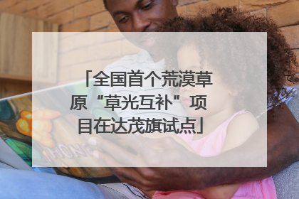 全国首个荒漠草原“草光互补”项目在达茂旗试点