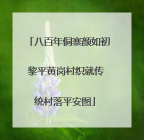 八百年侗寨颜如初 黎平黄岗村织就传统村落平安图