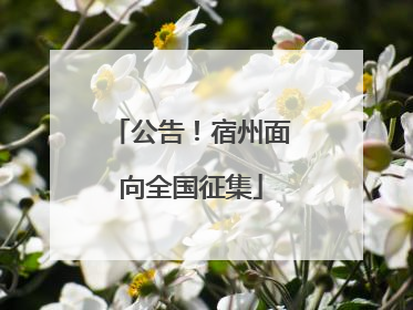 公告！宿州面向全国征集