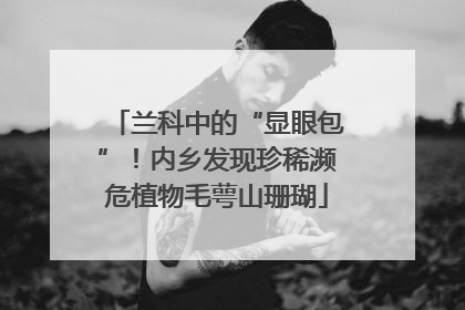 兰科中的“显眼包”！内乡发现珍稀濒危植物毛萼山珊瑚