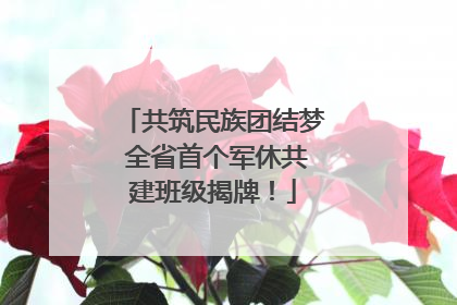 共筑民族团结梦 全省首个军休共建班级揭牌！