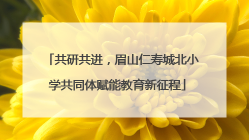 共研共进，眉山仁寿城北小学共同体赋能教育新征程