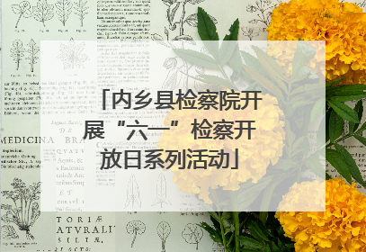 内乡县检察院开展“六一”检察开放日系列活动