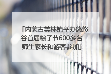 内蒙古美林镇举办悠悠谷首届粽子节600多名师生家长和游客参加