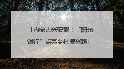 内蒙古兴安盟：“阳光银行”点亮乡村振兴路