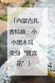 内蒙古扎赉特旗：小小黑木耳 变身“致富花”