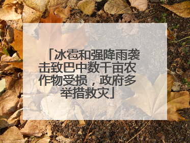 冰雹和强降雨袭击致巴中数千亩农作物受损，政府多举措救灾