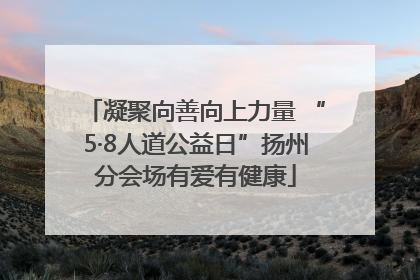 凝聚向善向上力量 “5·8人道公益日”扬州分会场有爱有健康