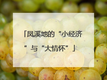 凤溪地的“小经济”与“大情怀”