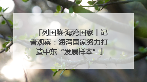 列国鉴·海湾国家丨记者观察：海湾国家努力打造中东“发展样本”