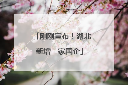 刚刚宣布！湖北新增一家国企