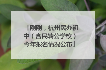 刚刚，杭州民办初中（含民转公学校）今年报名情况公布