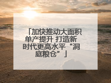 加快推动大面积单产提升 打造新时代更高水平“洞庭粮仓”