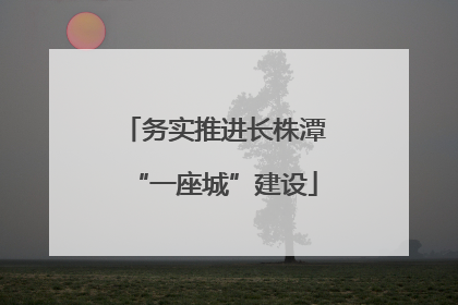 务实推进长株潭“一座城”建设