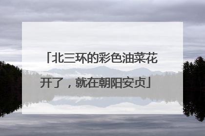 北三环的彩色油菜花开了，就在朝阳安贞