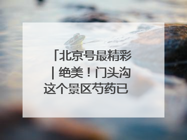 北京号最精彩｜绝美！门头沟这个景区芍药已花开成海