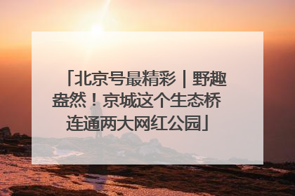北京号最精彩｜野趣盎然！京城这个生态桥连通两大网红公园