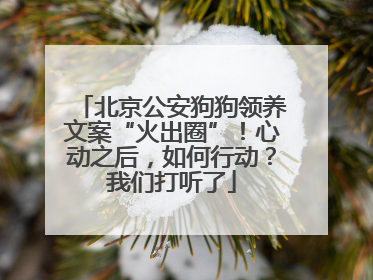 北京公安狗狗领养文案“火出圈”！心动之后，如何行动？我们打听了