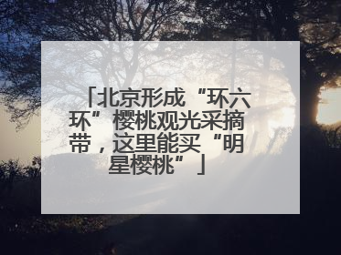 北京形成“环六环”樱桃观光采摘带，这里能买“明星樱桃”
