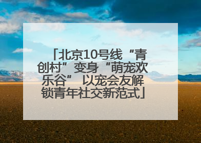 北京10号线“青创村”变身“萌宠欢乐谷” 以宠会友解锁青年社交新范式