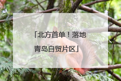 北方首单！落地青岛自贸片区