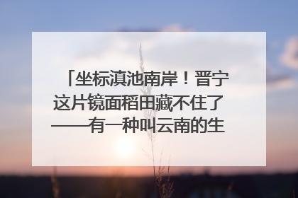 坐标滇池南岸！晋宁这片镜面稻田藏不住了——有一种叫云南的生活之365天
