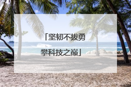 坚韧不拔勇攀科技之巅