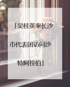 吴桂英率长沙市代表团访问沙特阿拉伯