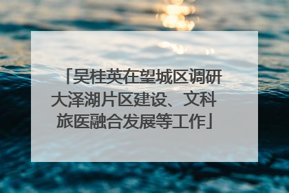 吴桂英在望城区调研大泽湖片区建设、文科旅医融合发展等工作