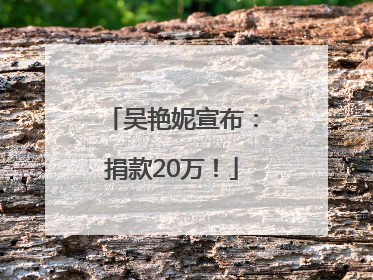 吴艳妮宣布：捐款20万！