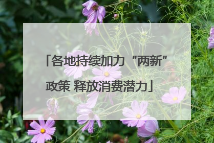 各地持续加力“两新”政策 释放消费潜力